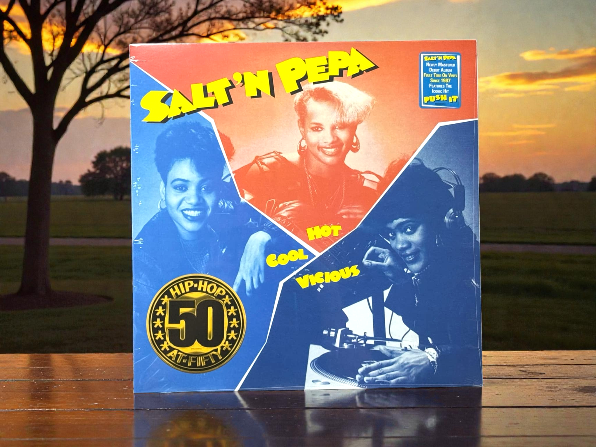 Salt 'N' Pepa – Hot Cool Vicious