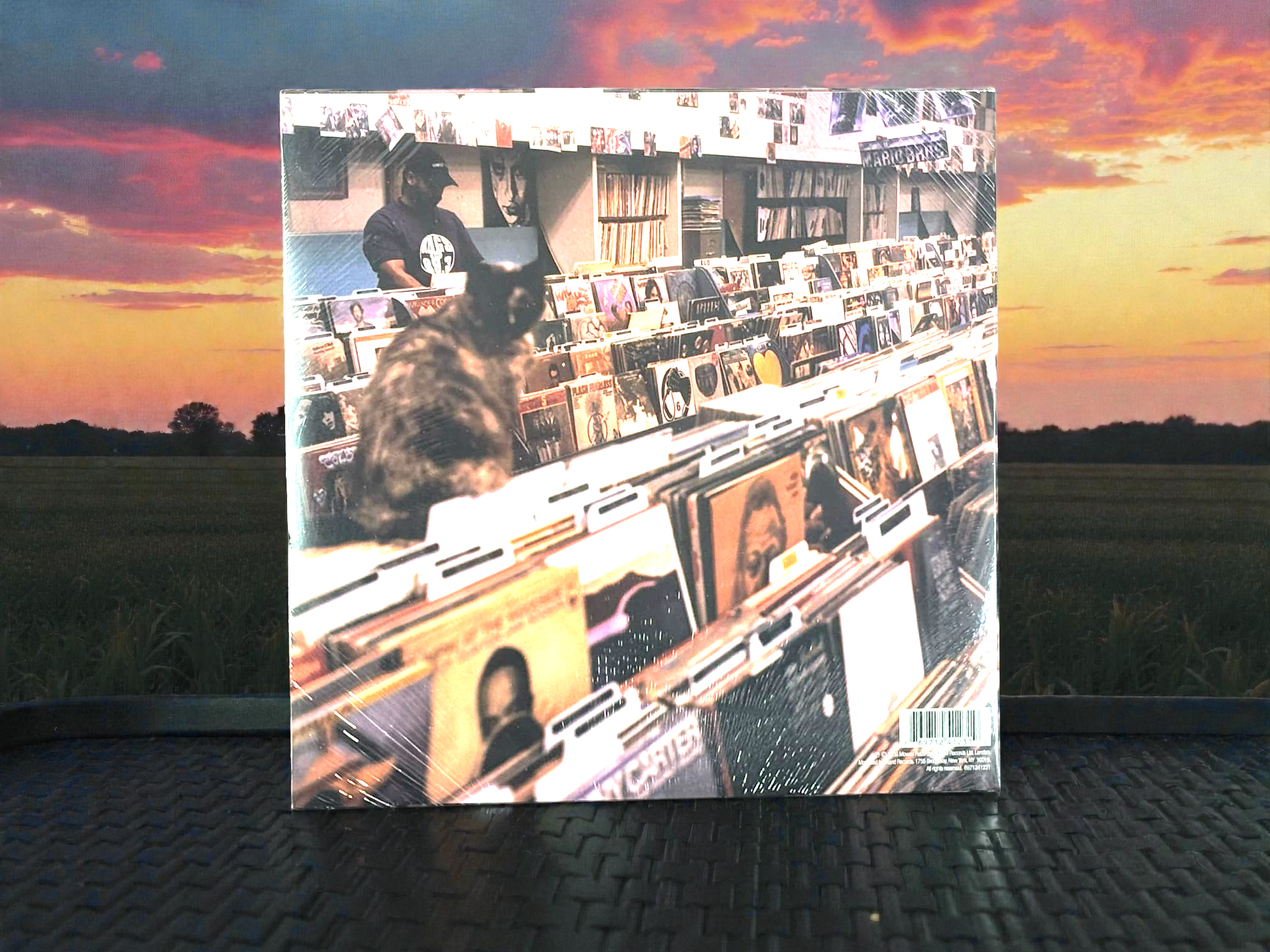 DJ Shadow – Endtroducing... (2LP)