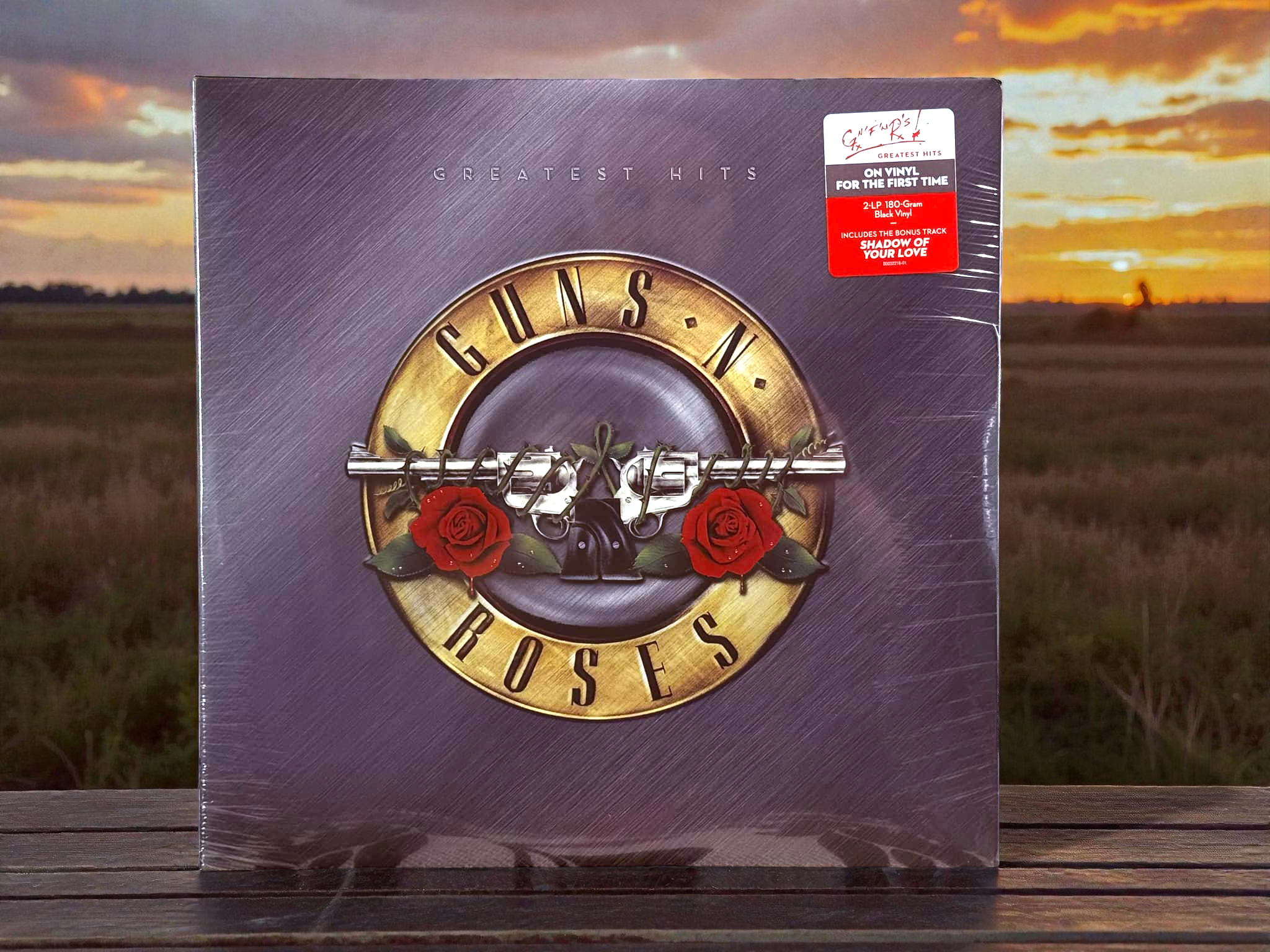Guns N' Roses - Greatest Hits (2LP)