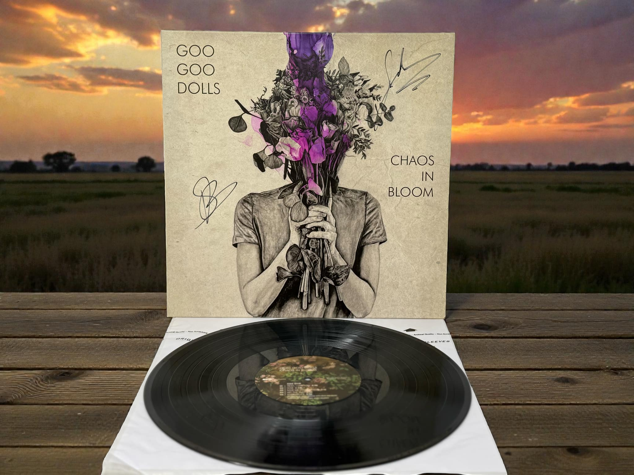 Goo Goo Dolls – Chaos In Bloom (Autographed)