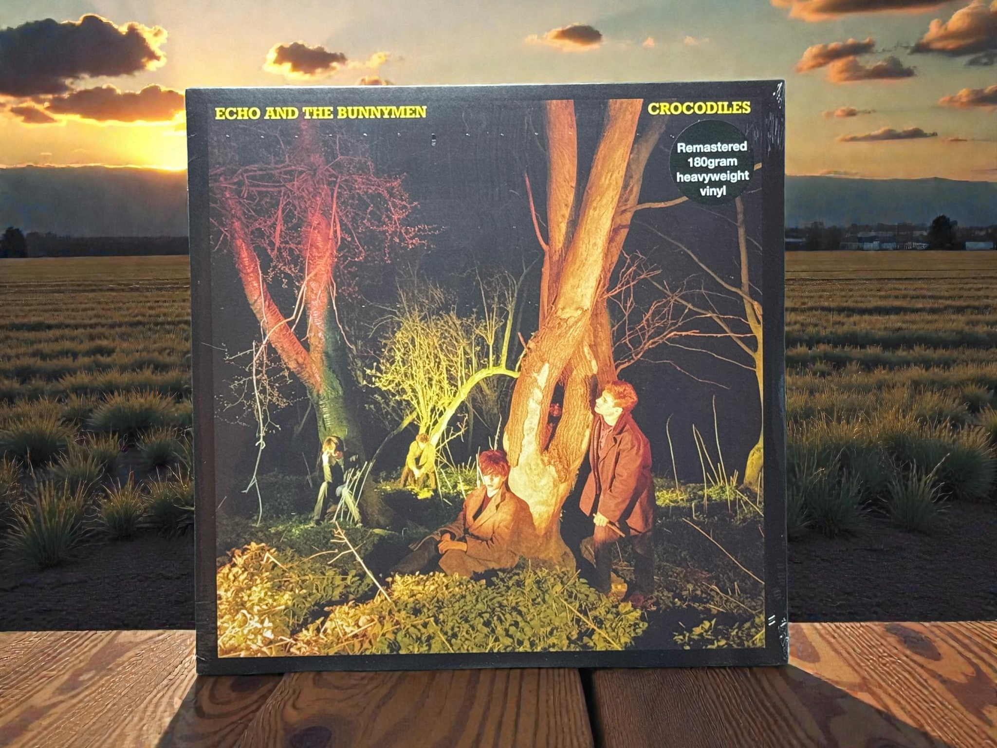 Echo And The Bunnymen – Crocodiles