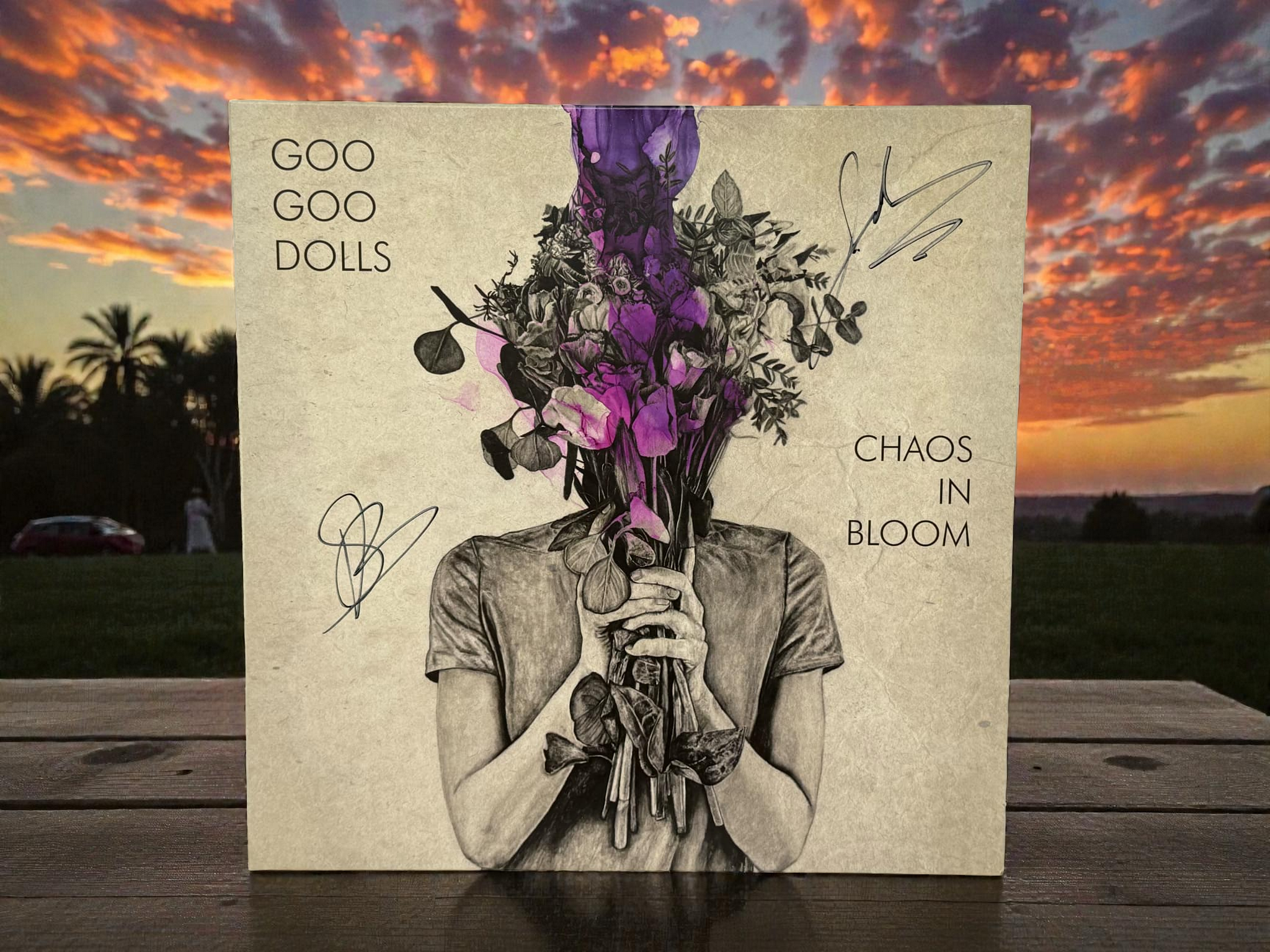 Goo Goo Dolls – Chaos In Bloom (Autographed)