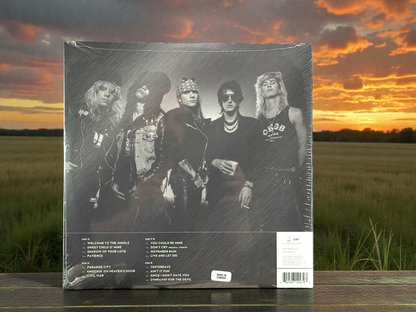 Guns N' Roses - Greatest Hits (2LP)