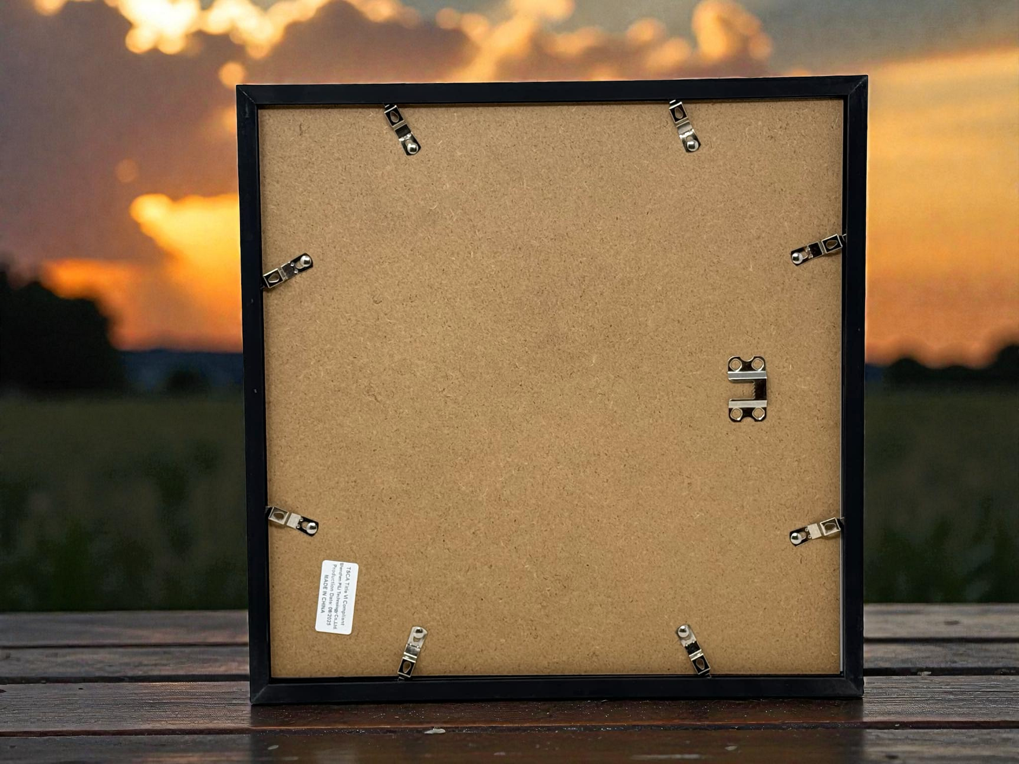 Snoop Dogg Autographed Framed 12x12 Picture JSA Certified