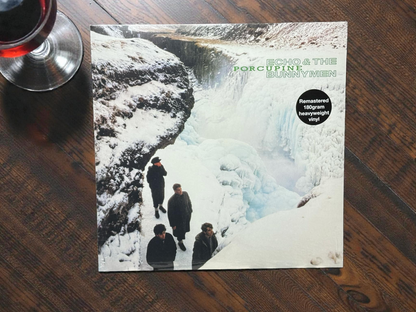 Echo & The Bunnymen – Porcupine