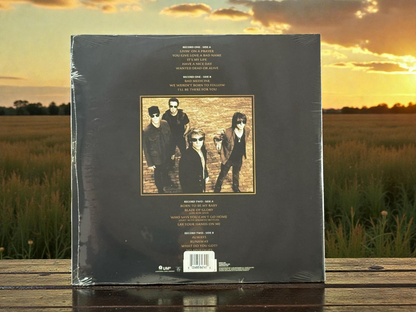 Bon Jovi – Greatest Hits (Gold Limited + 2LP)
