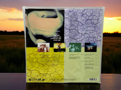 Stone Temple Pilots - Core