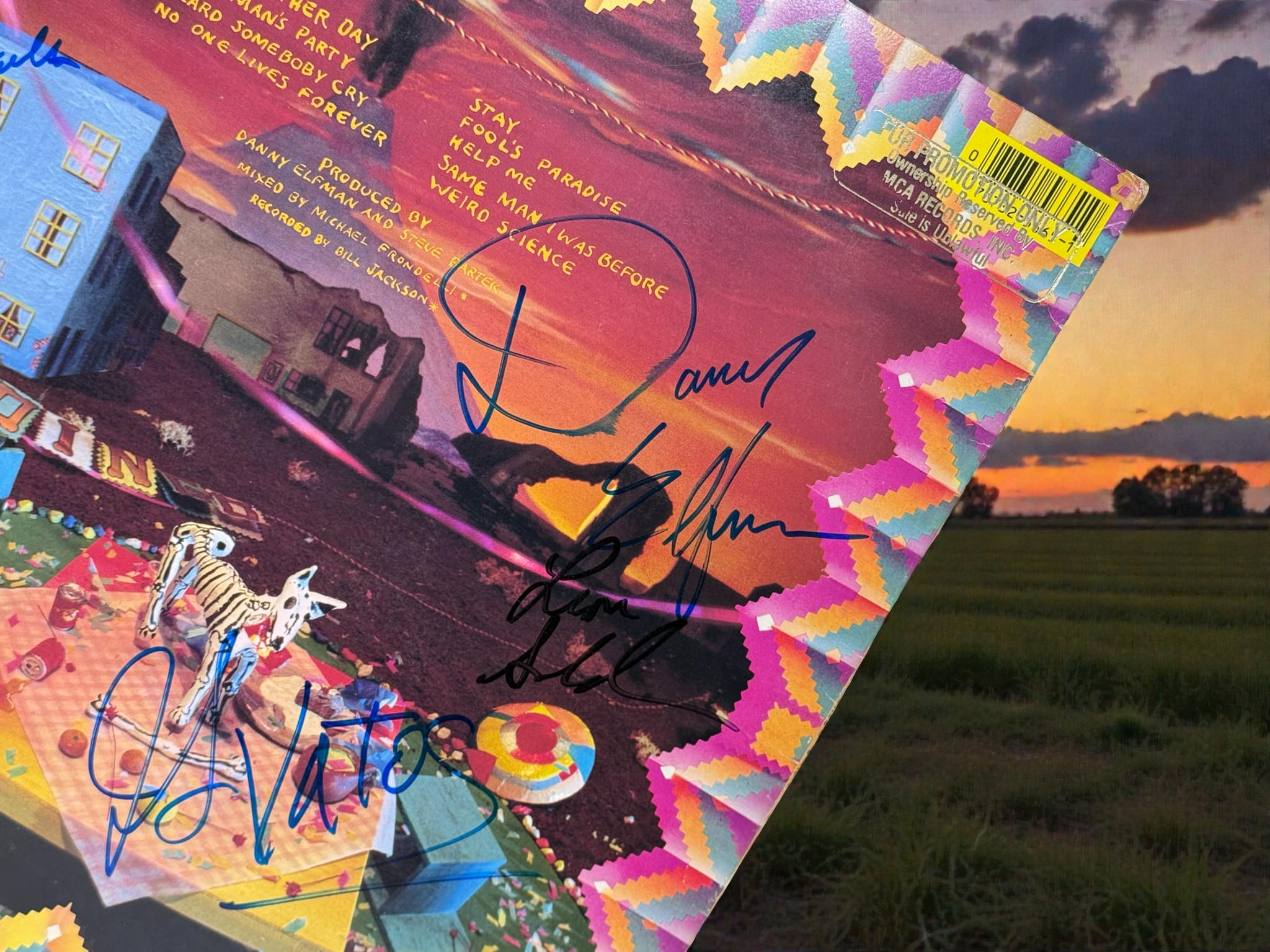 Oingo Boingo – Dead Man's Party PROMO LP - Full Band Autographed w/ Danny Elfman